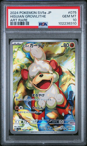 Hisuian Growlithe [Art Rare] #075 PSA 10 [Japanese Crimson Haze 2024]