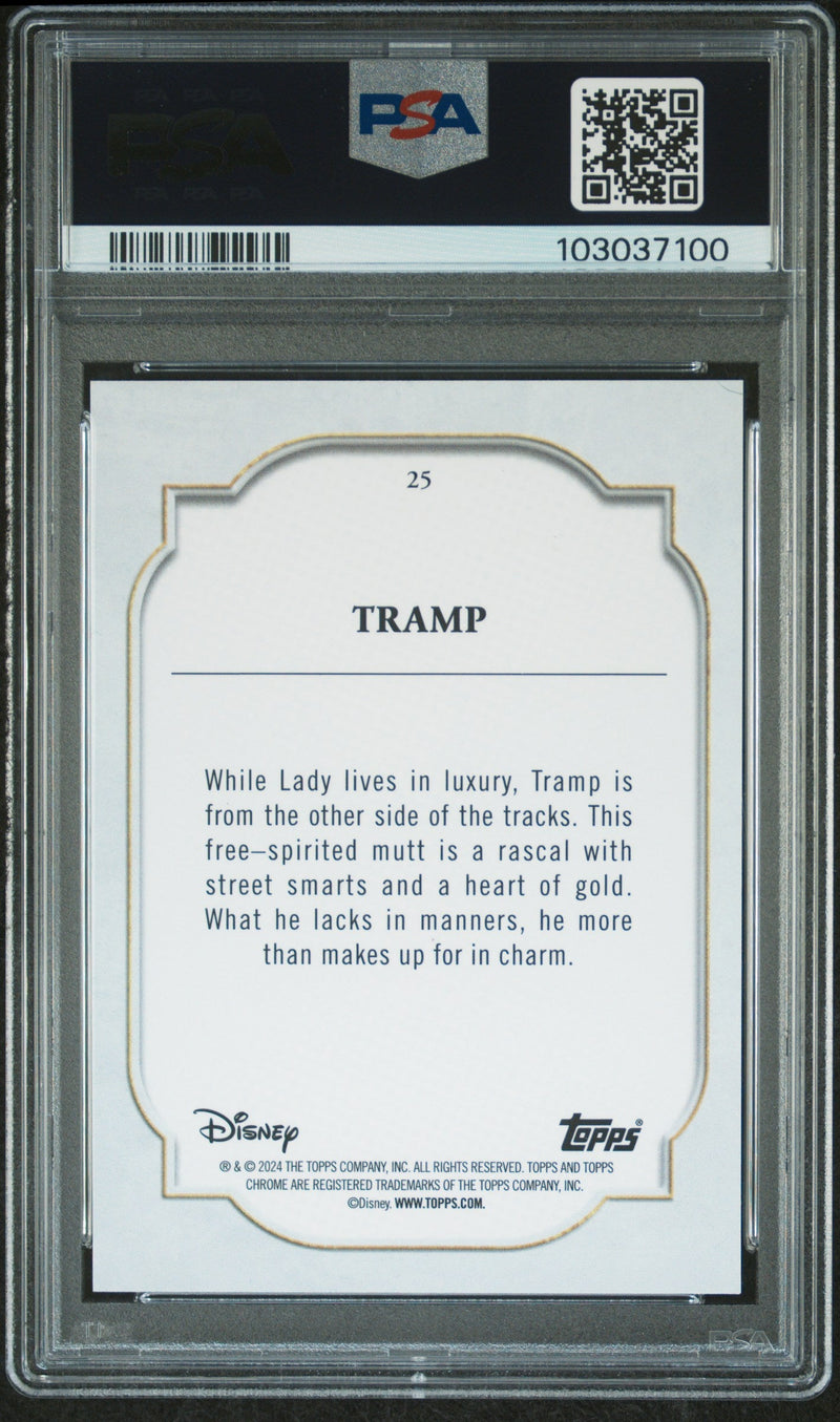 Tramp