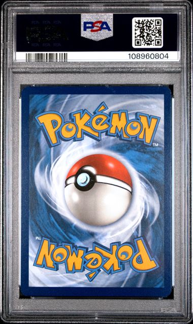 Wartortle