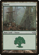Forest [Duel Decks: Elves vs. Goblins]