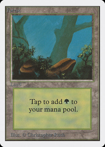 Forest [Unlimited Edition]